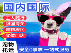 张家口机场快递国际宠物托运 【国